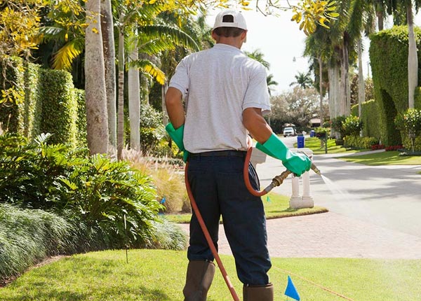 About Le Roy KS Pest Control